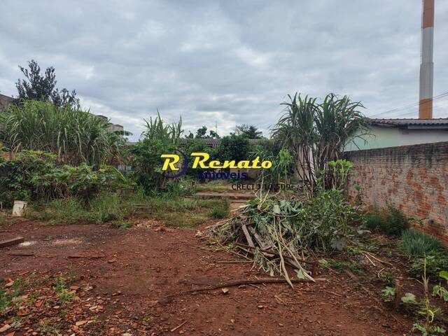 Área para Venda em Arapongas - 4