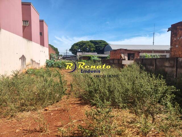 #7071 - Área para Venda em Arapongas - PR - 3