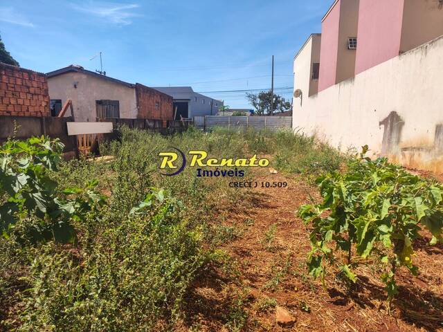 Área para Venda em Arapongas - 4