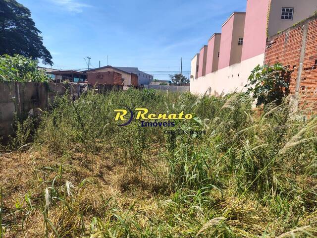 Área para Venda em Arapongas - 5
