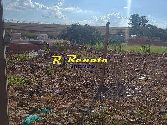 #7076 - Terreno para Venda em Arapongas - PR - 3