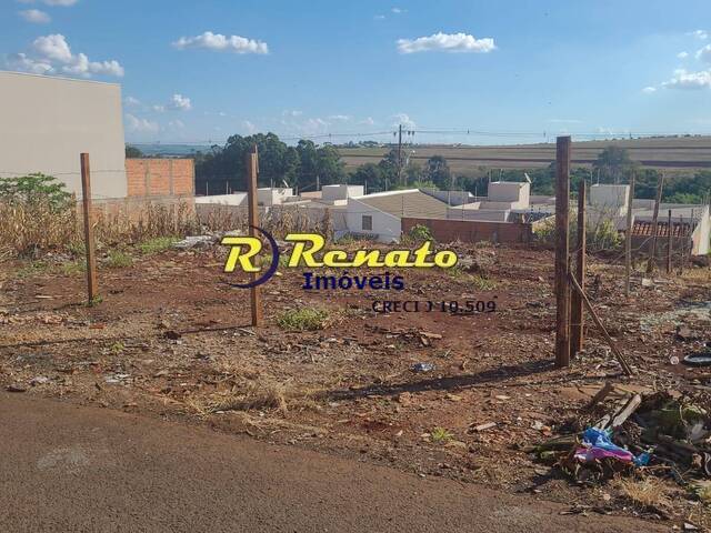 #7076 - Terreno para Venda em Arapongas - PR - 2