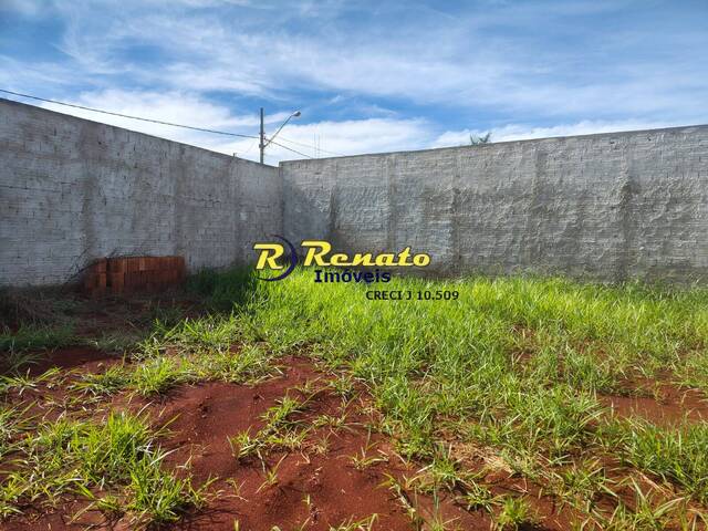 #7094 - Terreno para Venda em Arapongas - PR - 3
