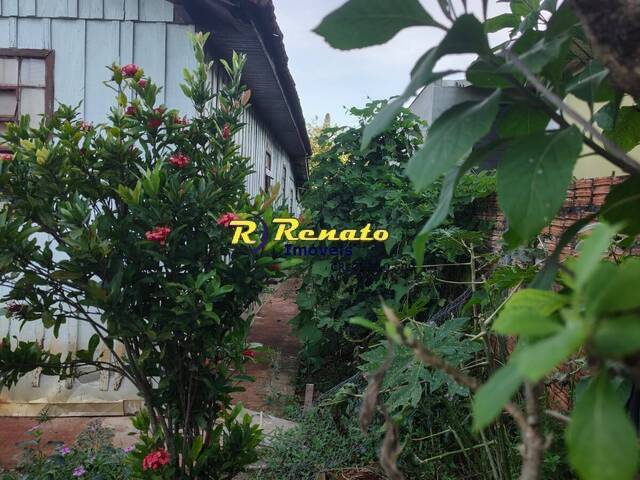 Terreno para Venda em Arapongas - 3