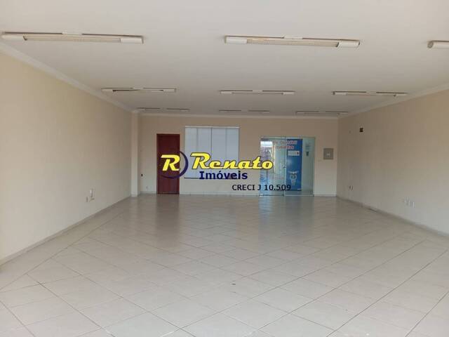 #7109 - Sala para Locação em Arapongas - PR - 3