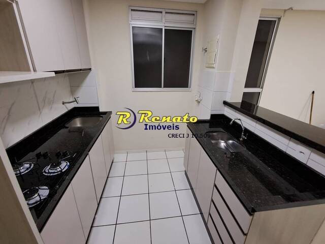 Apartamento para Locação em Arapongas - 2