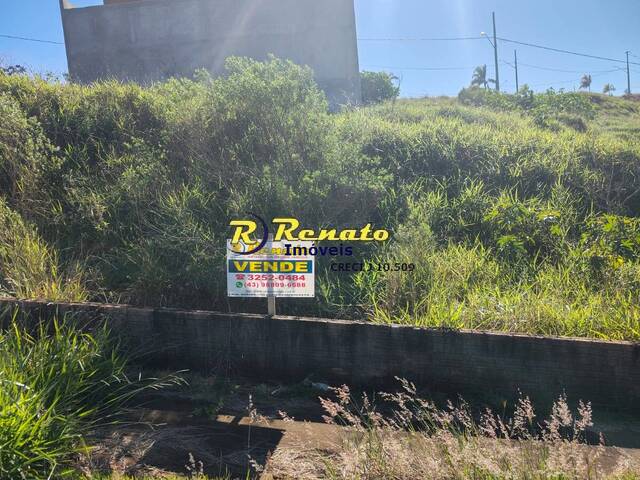 Área para Venda em Arapongas - 3
