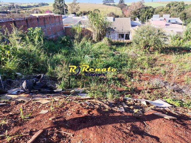 #7145 - Área para Venda em Arapongas - PR - 1