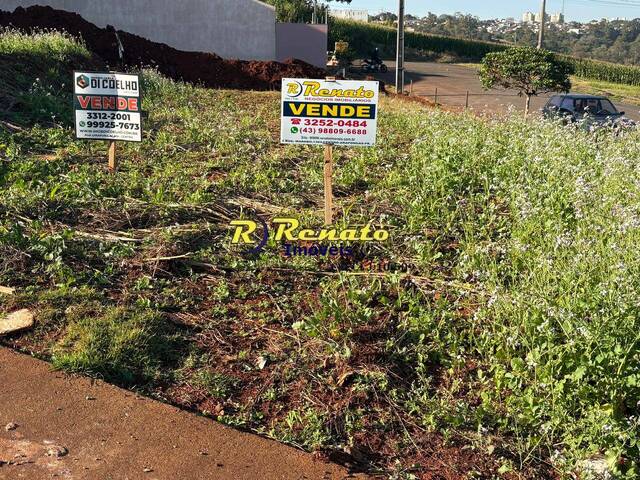 Terreno para Venda em Arapongas - 5