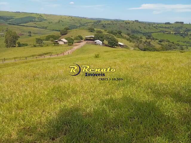 #7156 - Chácara para Venda em Mandaguari - PR - 1