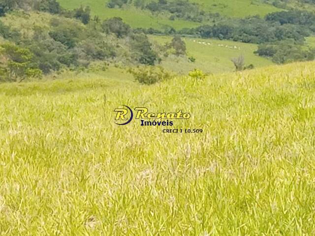 Chácara para Venda em Mandaguari - 5