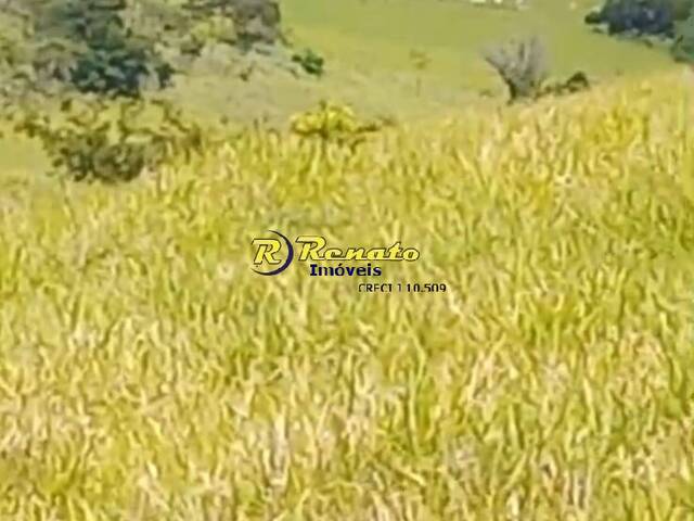 Chácara para Venda em Mandaguari - 4