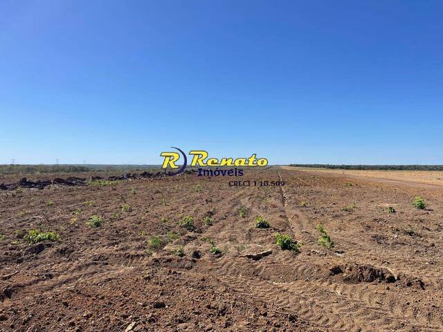 #7157 - Fazenda para Venda em Paranã - TO - 3