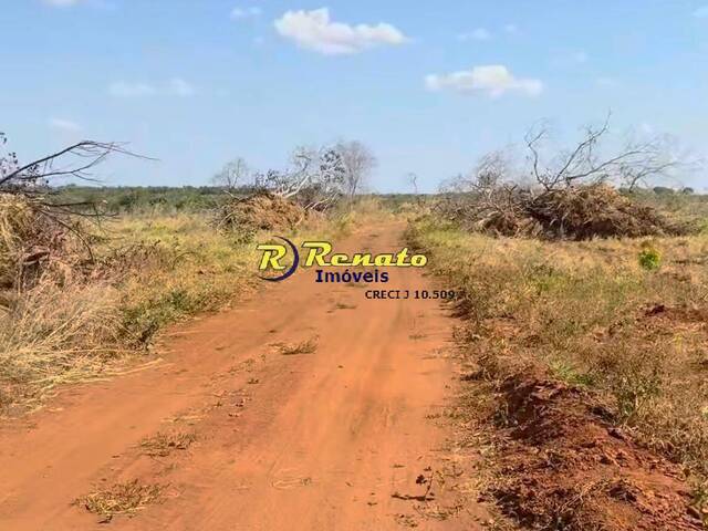 #7157 - Fazenda para Venda em Paranã - TO - 2