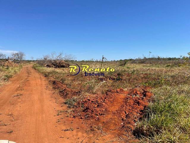 Fazenda para Venda em Paranã - 5