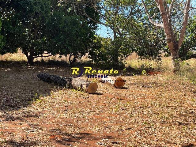 Fazenda para Venda em Paranã - 4