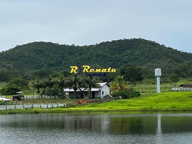 #7158 - Chácara para Venda em Arapongas - PR - 3