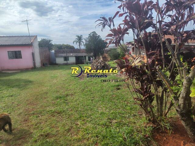 Terreno para Venda em Arapongas - 4