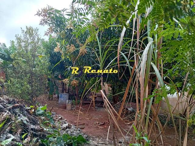 Área para Venda em Arapongas - 4