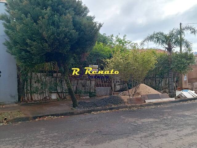 #7167 - Área para Venda em Arapongas - PR - 1
