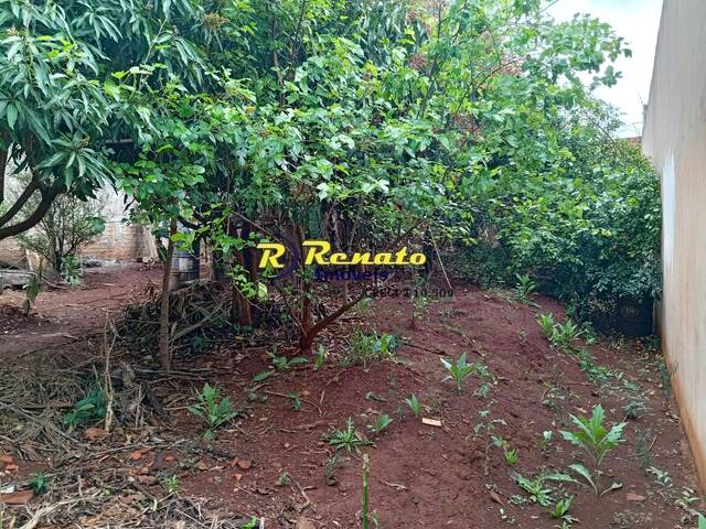 Área para Venda em Arapongas - 5