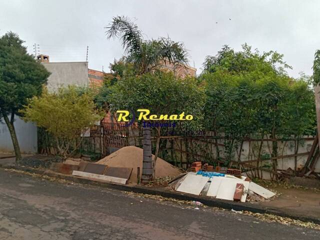 #7167 - Área para Venda em Arapongas - PR - 2
