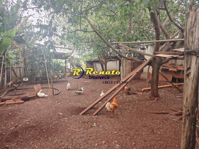#7168 - chacara para Venda em Arapongas - PR - 3