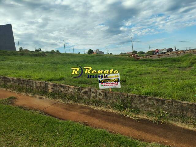 #7170 - Terreno para Venda em Arapongas - PR - 1