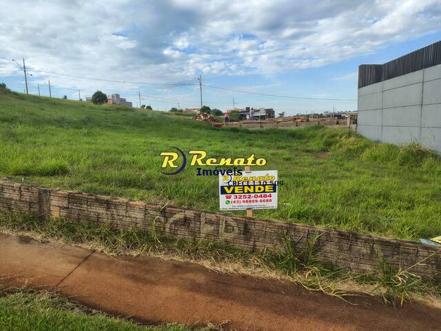#7170 - Terreno para Venda em Arapongas - PR - 3