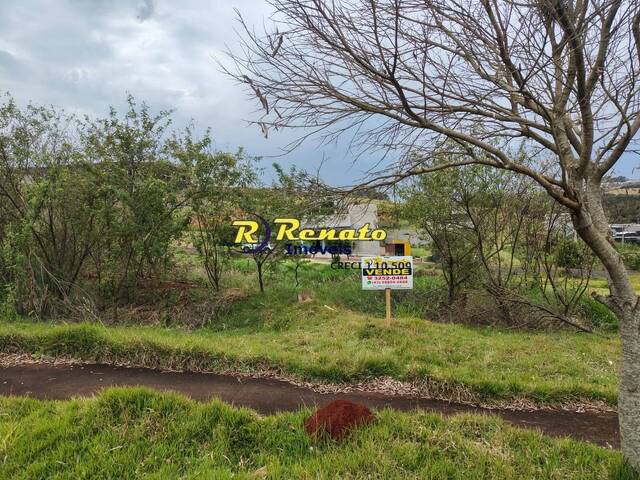 #7184 - Terreno para Venda em Arapongas - PR - 1