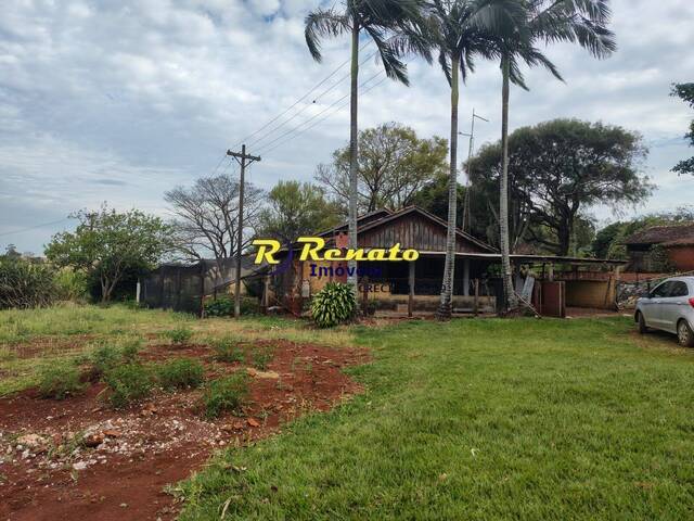 #7185 - Sítio para Venda em Arapongas - PR - 1