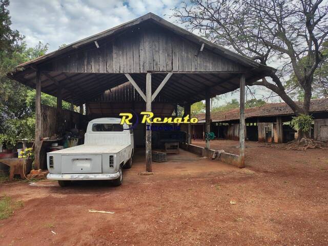 #7185 - Sítio para Venda em Arapongas - PR - 3