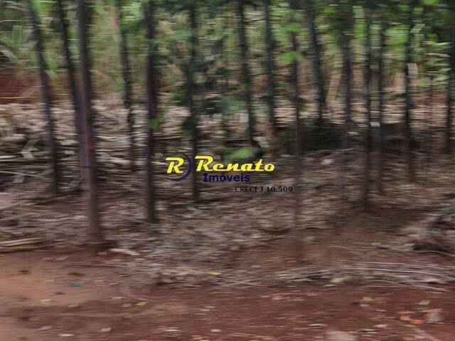 #7189 - Terreno para Venda em Arapongas - PR - 1