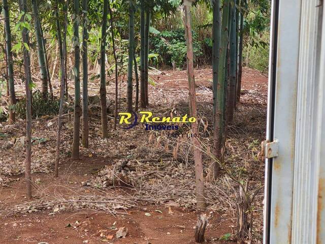 #7189 - Terreno para Venda em Arapongas - PR - 2