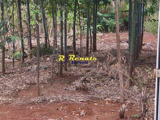#7189 - Terreno para Venda em Arapongas - PR - 3