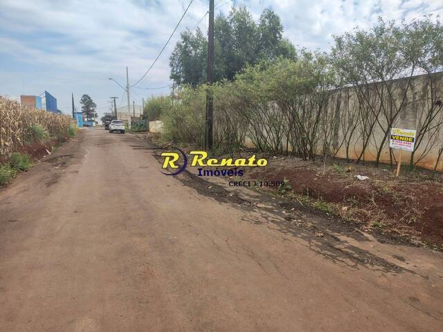Terreno para Venda em Arapongas - 4